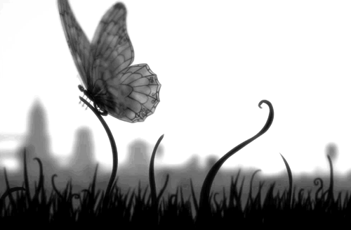 Resultado de imagem para tumblr gif mariposa