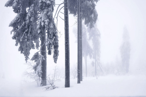 archatlas:Frozen Landscapes Tell a Winter’s Tale in New...
