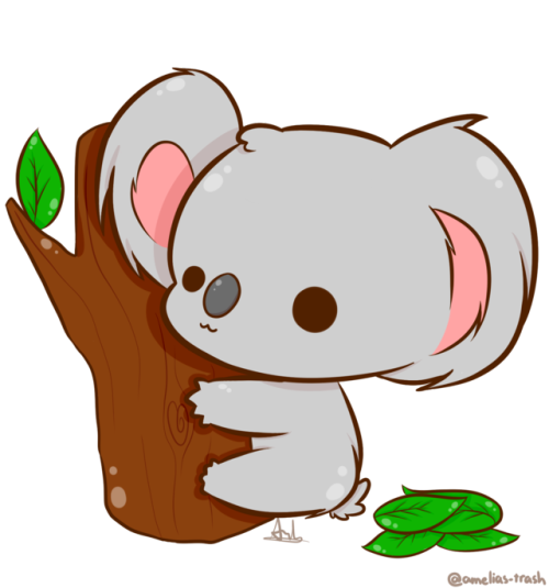 Cuddle_Koala