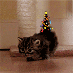 neophyte-redglare:one good thing about december on this hellsite is that this gif will be making...