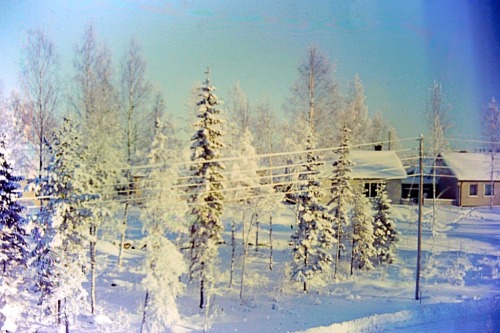Grängesberg vinter 1962. Bakom träden skymtar husen på...