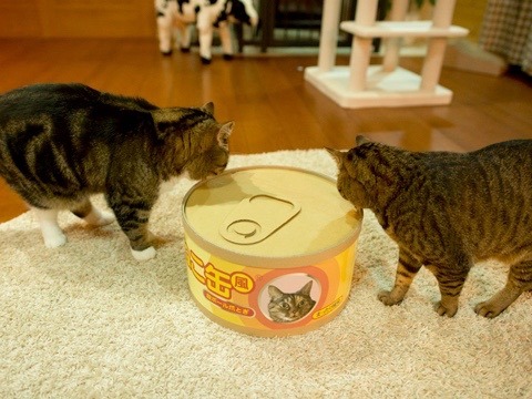 art-nimals - Maru the Cat & the Giant Can of Cat Food, A...