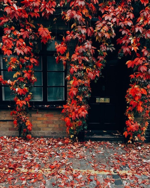 autumncozy - By yaroslava_kirichok