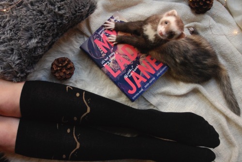 the-book-ferret:“He would have found the whole thing wildly...