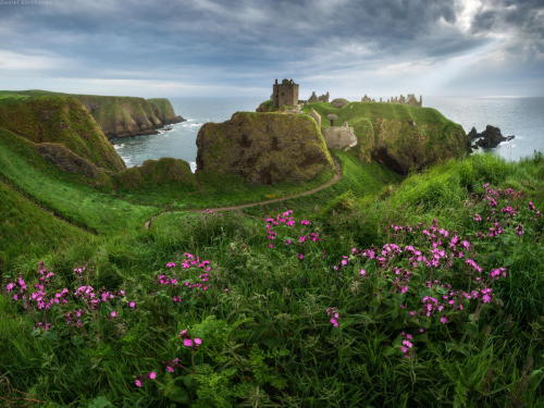 silvaris:Dreamland of Scotland by Daniel Kordan