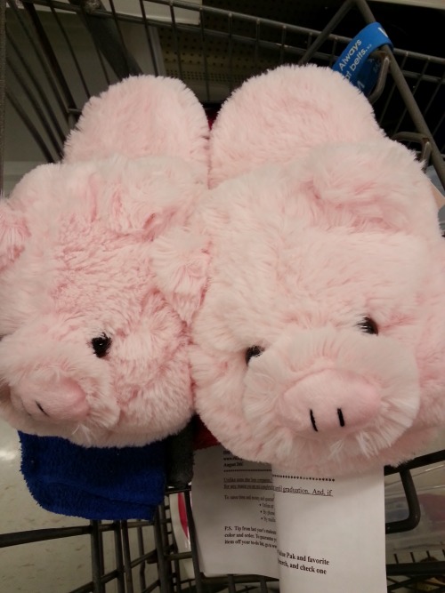 i got these pig slippers!! this is the closest thing i have to...