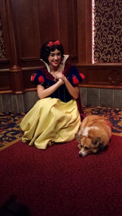 callofthenerd - My friend posed her dog with Disney characters at...