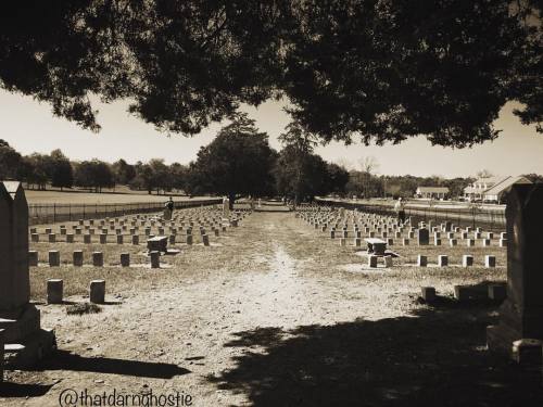 “The Weight of Today” - McGavock Confederate Cemetery,...