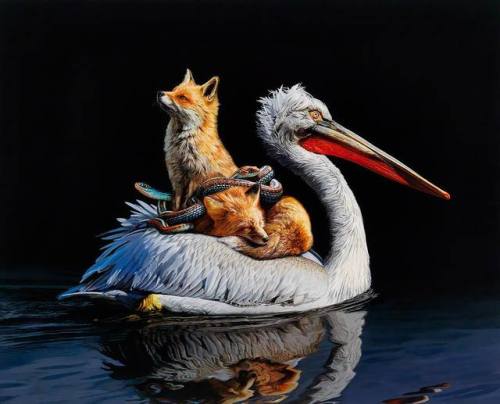 thecollectibles - Hyperrealistic paintings by Lisa Ericson