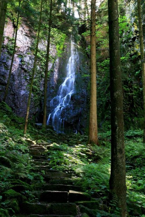 the-house-of-slytherin - Burgbach Waterfall in Bad Rippoldsau,...
