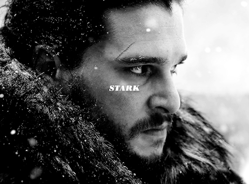 snowsource - I will always be a Stark.
