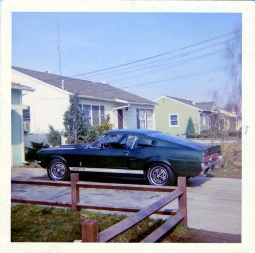 prova275 - Fresh… 1967 GT500 fastback in the driveway