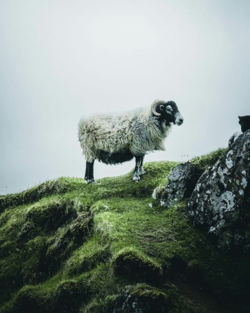 landscape-lunacy - Quiraing, Isle of Skye, Scotland - by Sven...