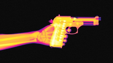 ineversurrender - Pistol X Rays