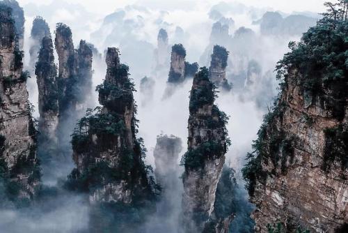 bakushuku - Zhangjiajie’s Stone Forest