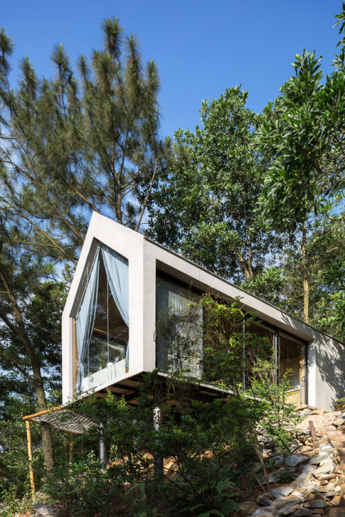 utwo:Forest House Vietnam© Le Hoang