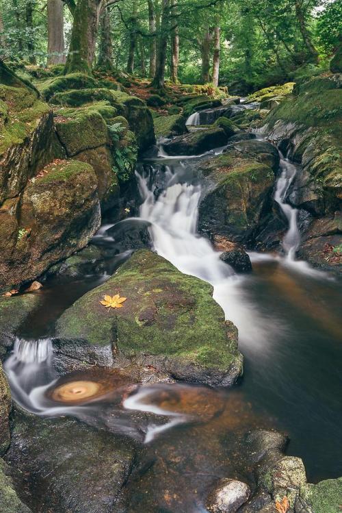thebeautifuloutdoors - The First Sign of Fall, Wicklow...