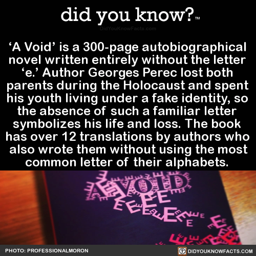 a-void-is-a-300-page-autobiographical-novel