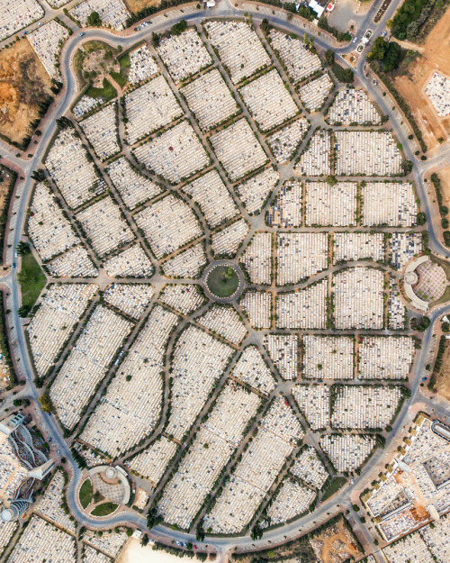 dailyoverview - The Yarkon Cemetery has been the primary cemetery...