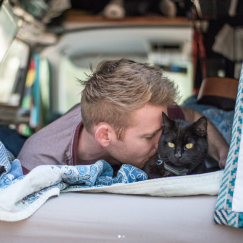 catsbeaversandducks - Rich & Willow - Traveling Cat “Quit my...