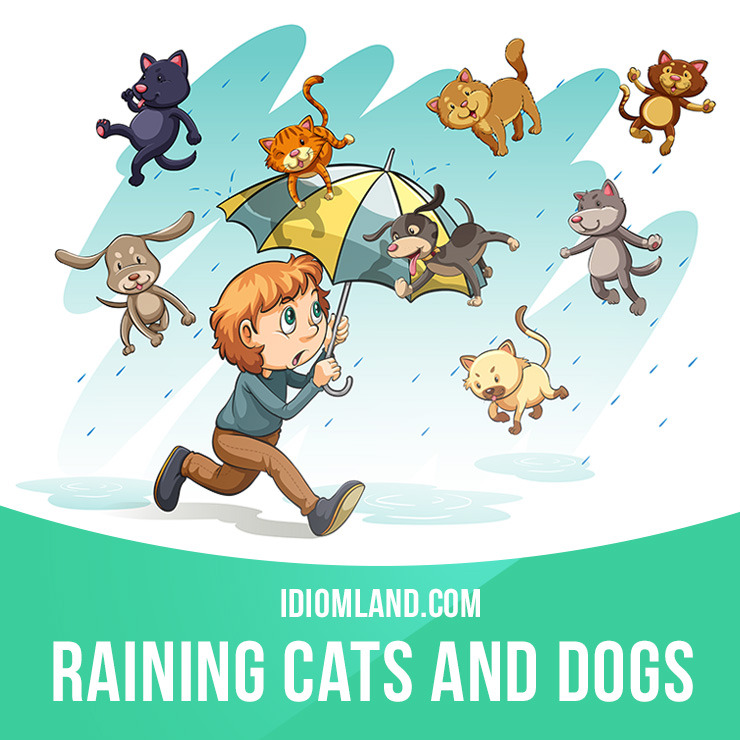 Idiom Land — “It’s raining cats and dogs” means “it’s raining...