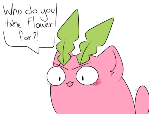 dailyhoppip - Of course Flower still eats flowers!!! Flowers yummy...