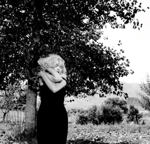 summers-in-hollywood - Marilyn Monroe filming The Misfits, 1960....