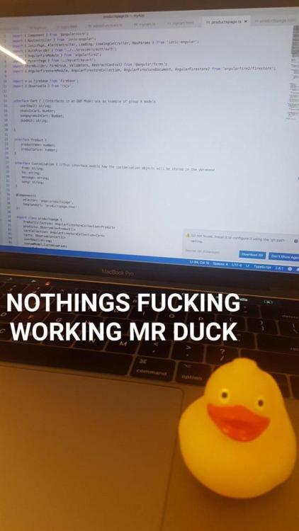 programmerhumour - My friends experience with Rubber Duck...