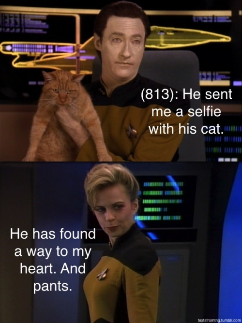 textsfromtng - Submitted by The Other Sarah and redphalarope.