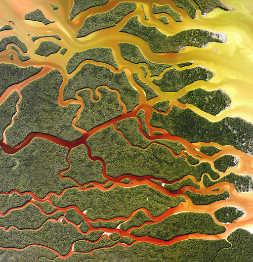 dailyoverview - Everglades National Park in Florida is the...