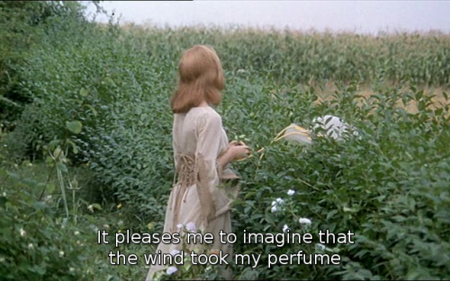 blushplum - roserosette - Faustine and the Beautiful Summer, 1972,...
