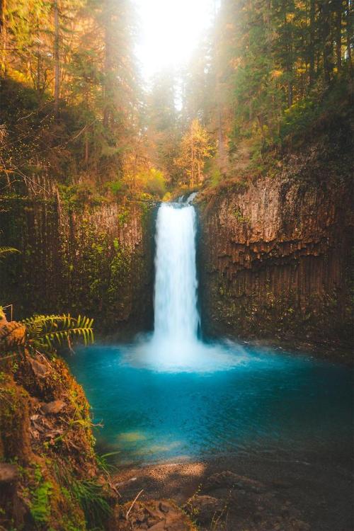 amazinglybeautifulphotography - Abiqua Falls [OC][1290x1935] -...