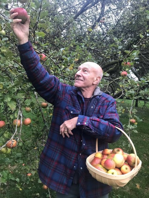 bookofoctober - “I’ve been picking apples in the autumn since...