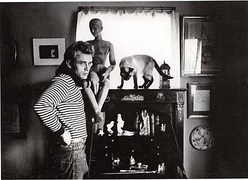 jamesmarilyndeanmonroe:James Dean and his cat Marcus, 1955.