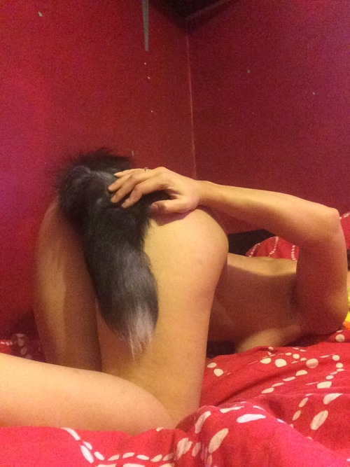 sensualcinderella:Love showing off my tail ;3Check if Shara is...
