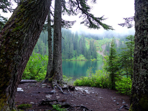 90377 - Lake Hiking by Elaine Chen