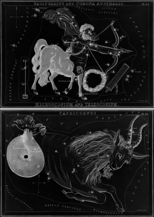 chaosophia218 - Sidney Hall - Signs of the Zodiac, “Urania’s...