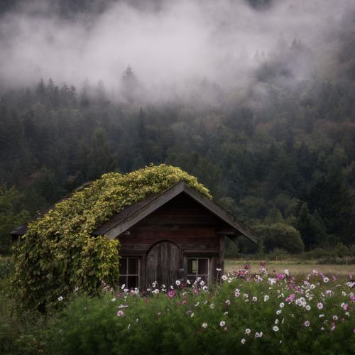 breathtakingdestinations:Skagit Valley - Washington - USA...