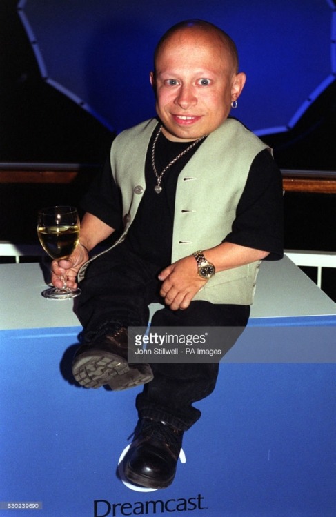 celebgames - American actor Verne Troyer (Mini Me from Austin...