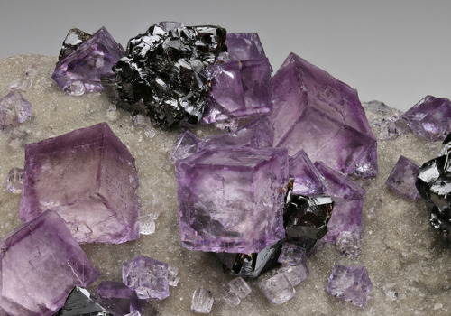 hematitehearts - Purple Fluorite with Zoning & Sphalerite on...