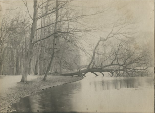 dame-de-pique:Haagse Bos, vijver met omgevallen boom, c.1895