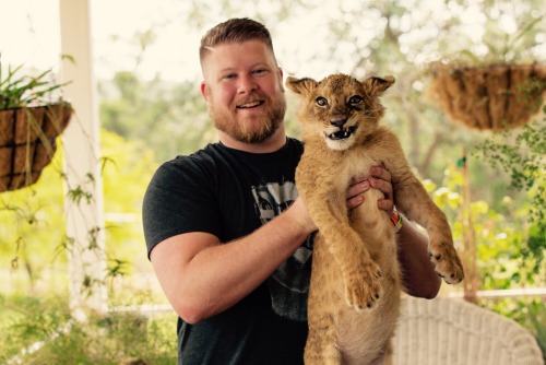 corwincub - I got to hold a baby lion cub this past weekend!Such...