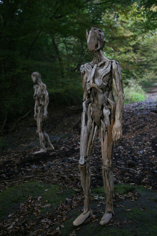vague-humanoid - littlelimpstiff14u2 - Haunting Driftwood...