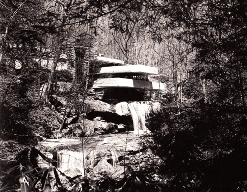 theimportanceofbeingmodernist - Chasing Waterfalls - Fallingwater...