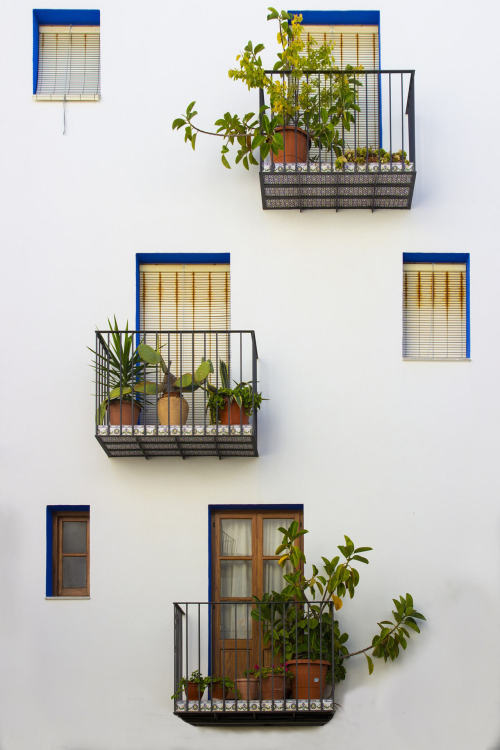 wanderlusteurope - Pretty potted plant balconies in Valencia,...