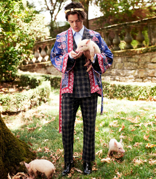 thedailyharry - Harry Styles for Gucci Cruise 2019 Tailoring...
