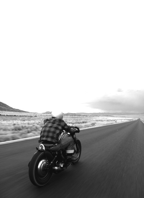 triumph motorcycle on Tumblr