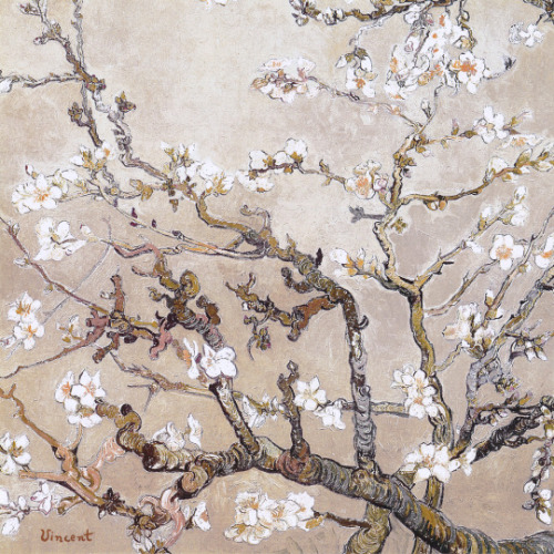 goodreadss:Almond Branches In Bloom, San Remy | Vincent Van...
