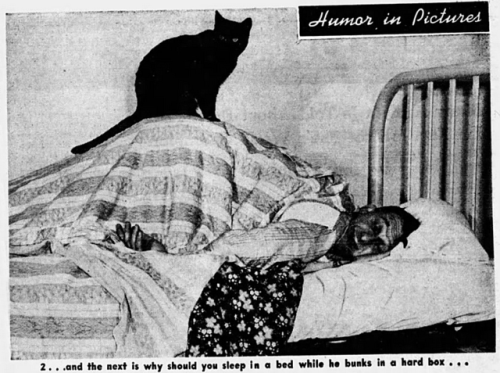 yesterdaysprint:The Miami News, Florida, August 5, 1951