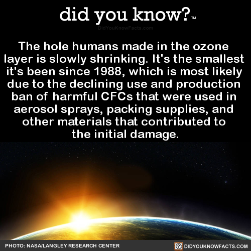 the-hole-humans-made-in-the-ozone-layer-is-slowly